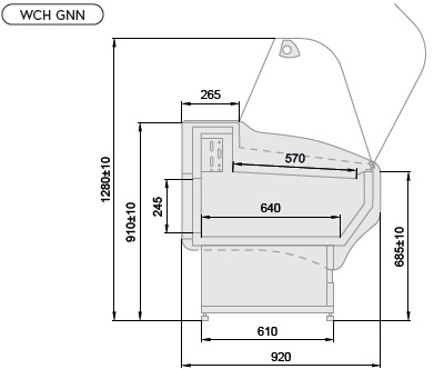WCH_GNN_m